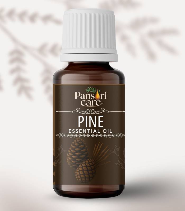 29 Pansari Care Pine Essential Oil bottle with fresh pine needles and a few pine cones.