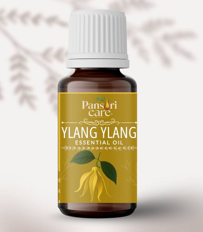 Pansari Care Ylang Ylang Essential Oil bottle with fresh yellow ylang ylang flowers and a leaf Pansari Care Ylang Ylang Essential Oil bottle with fresh yellow ylang ylang flowers and a leaf